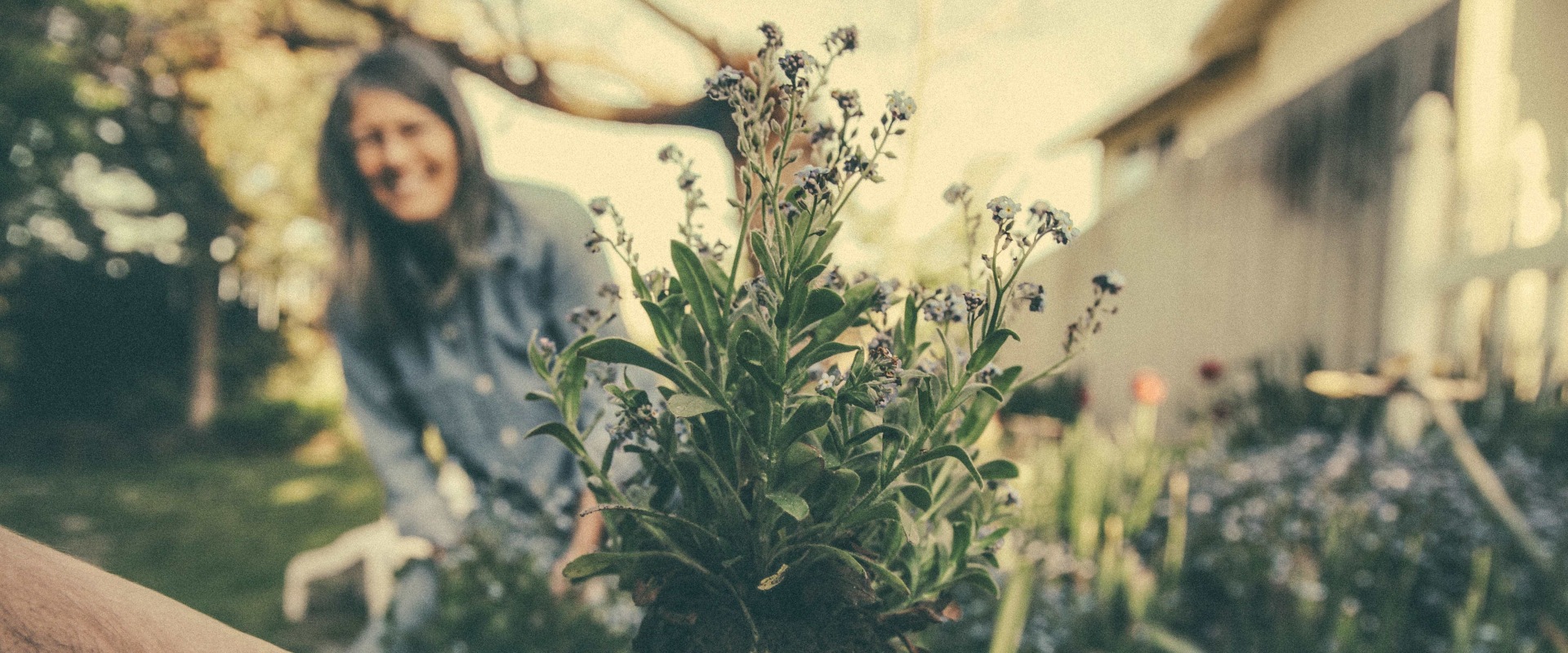 What are the job duties of a landscaper?
