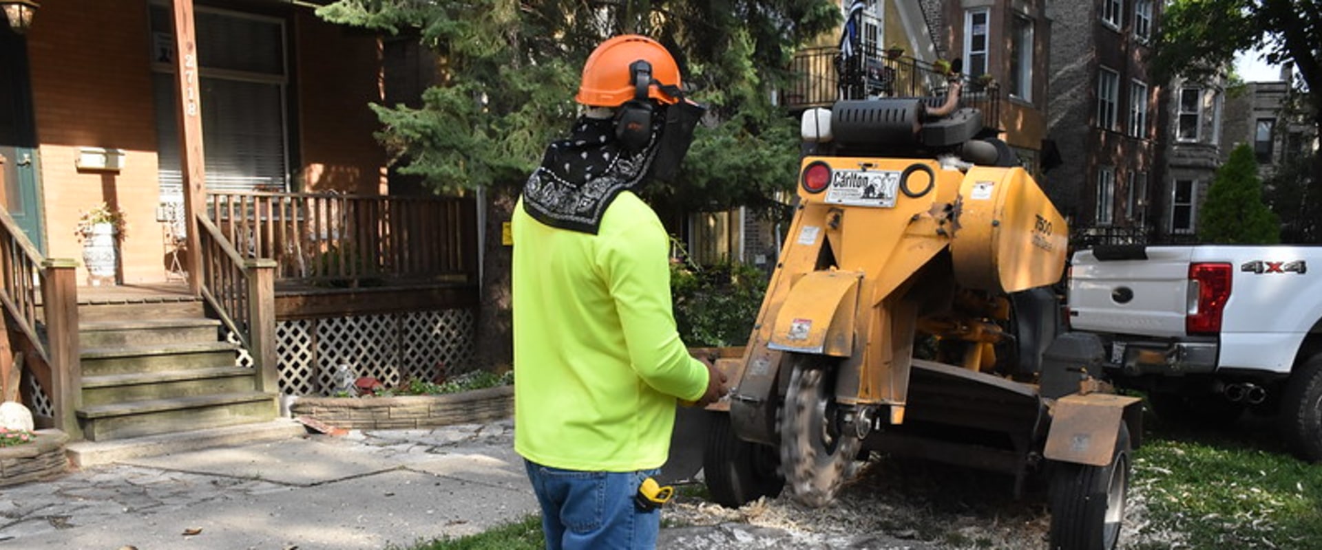 What Kind Of Trees Are Best Suited For Landscaping In Ellisville?