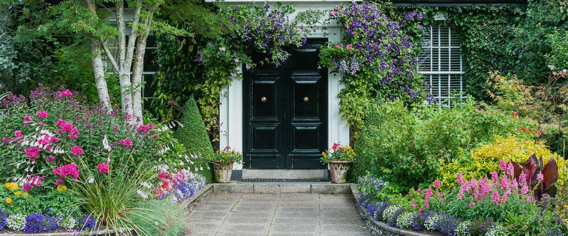 What is the best tree to plant near a house?