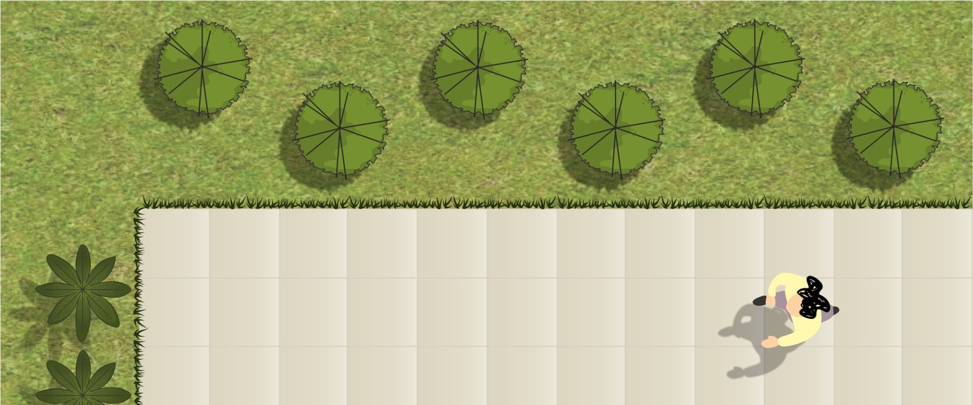 What are the 5 basic elements of landscape?