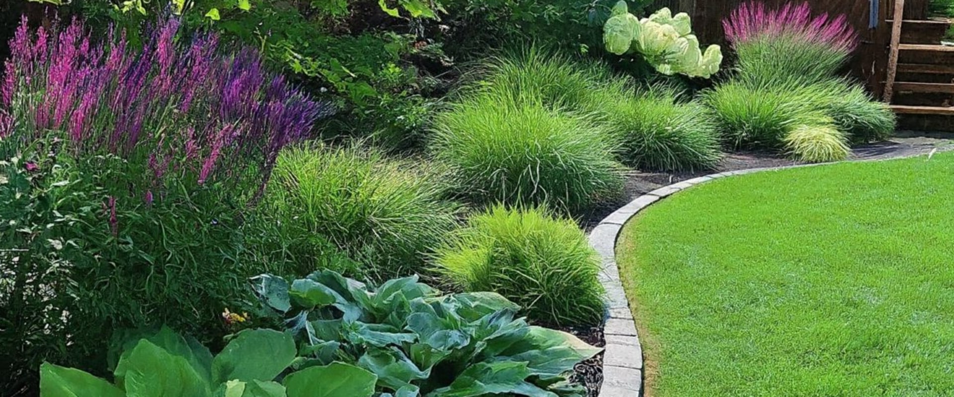 Why Termite Control Is A Must For Healthy Landscaping Trees In Fayetteville