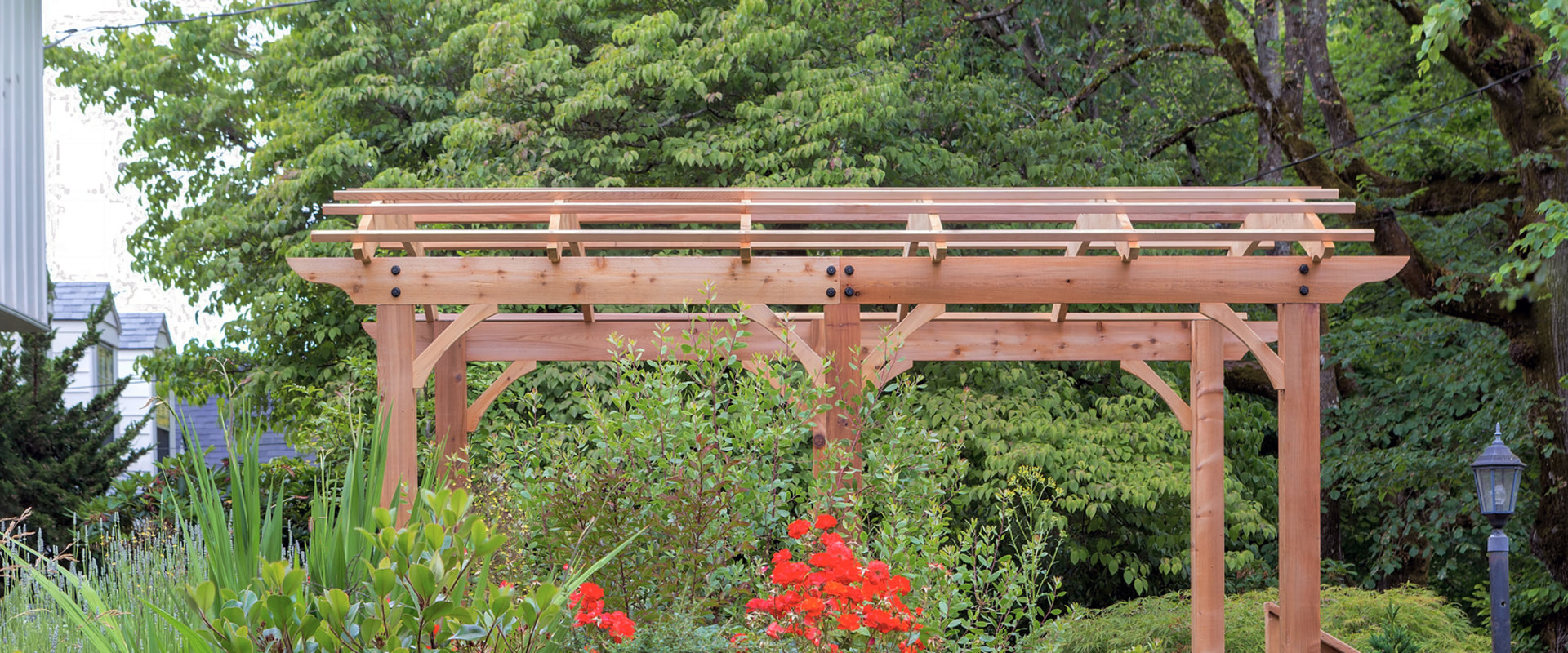 What Are The Best Types Of Landscaping Trees For Man Caves