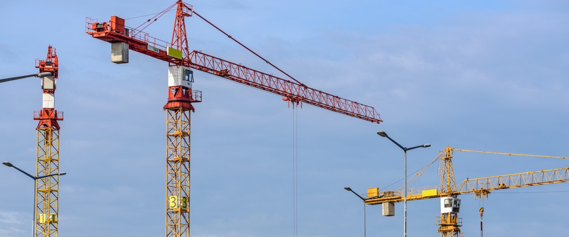 Landscaping Projects On The Sunshine Coast: Perks Of Using The Proper Crane When Pruning A Tree