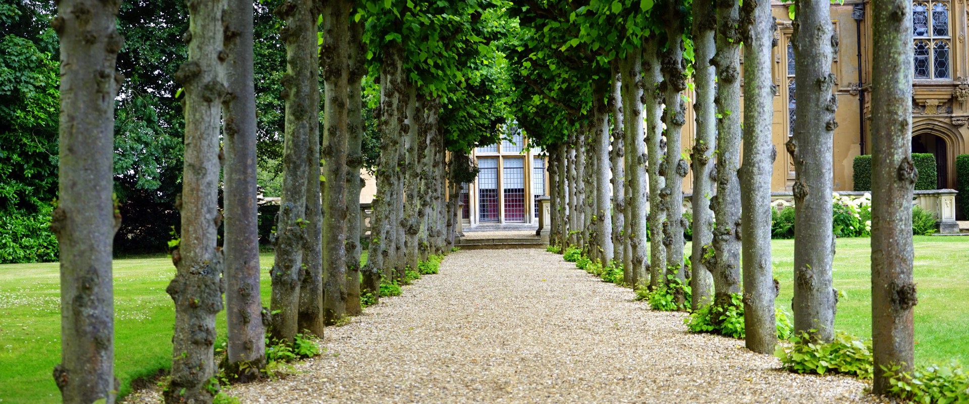 Nature's Architecture: Landscaping Trees And Crane Services In Groveland, MA