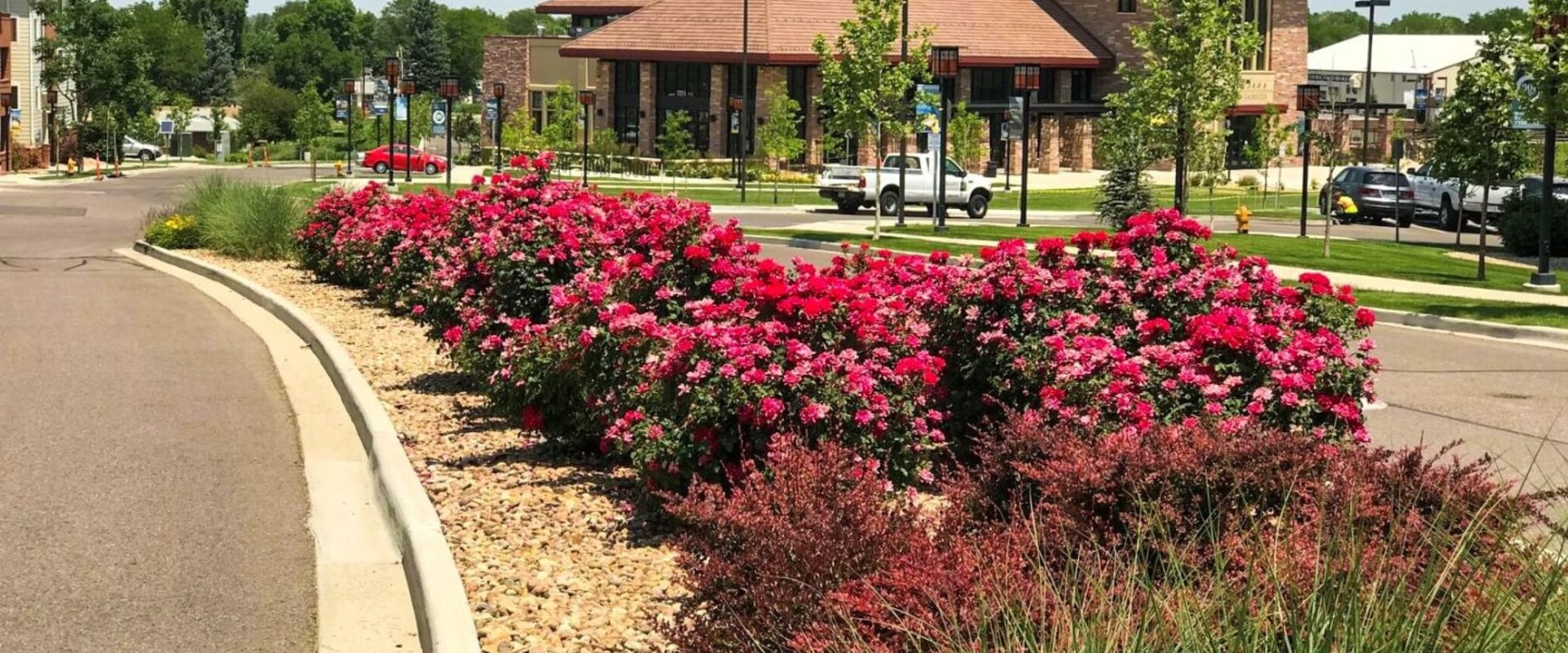 Enhance Your Lubbock, Texas Property Value With Strategic Landscaping Tree Planting Services