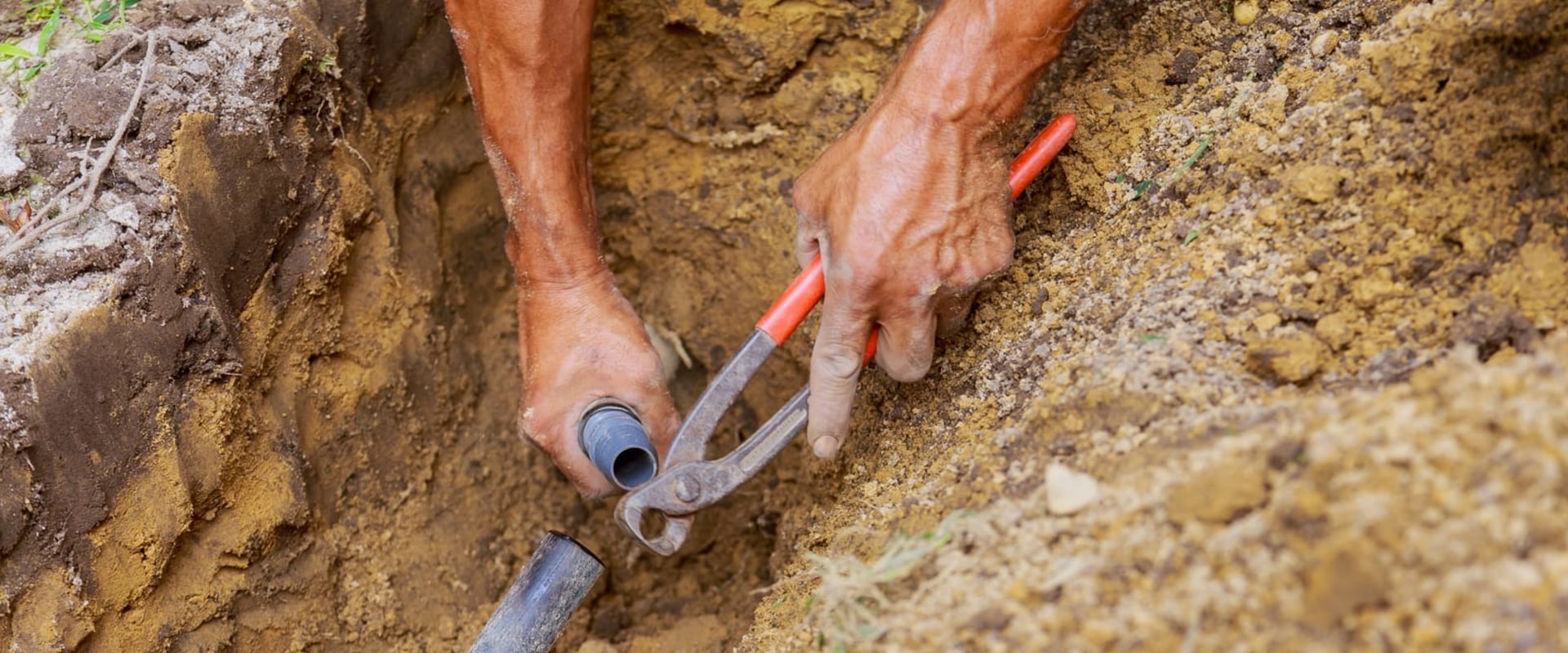 Efficiently Water Your Landscaping Trees With An Automatic Underground Irrigation System In Northern VA