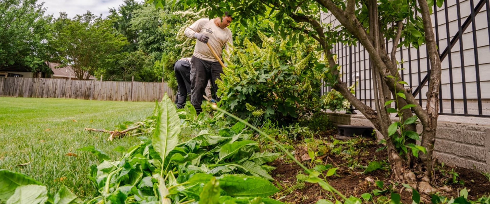 Why Hiring A Professional Lawn Care Service In Northern Virginia Is Essential For Maintaining Healthy Trees And Landscaping
