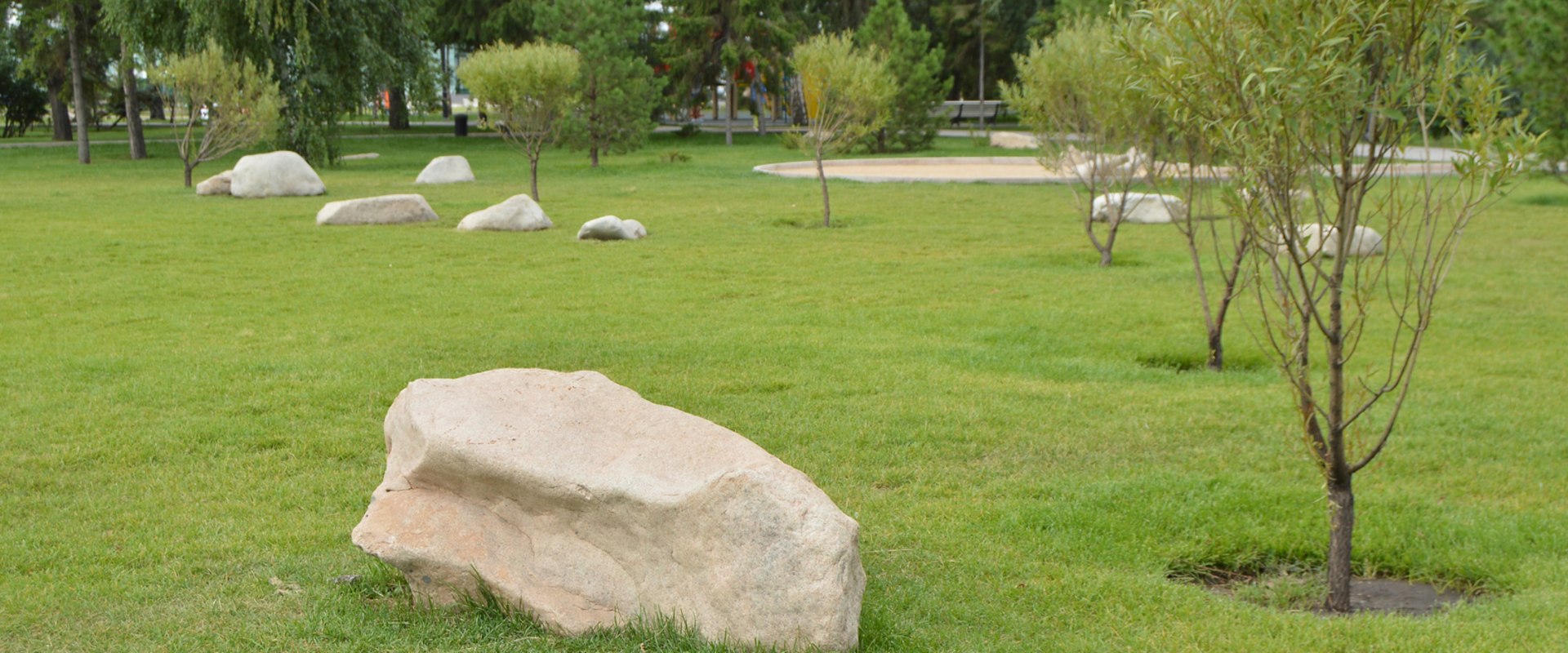 How To Pick The Right Landscaping Tree For Your Omaha Property