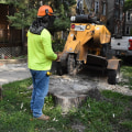What Kind Of Trees Are Best Suited For Landscaping In Ellisville?