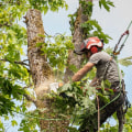What is a tree trimmer called?