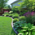 Why Termite Control Is A Must For Healthy Landscaping Trees In Fayetteville