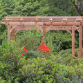 What Are The Best Types Of Landscaping Trees For Man Caves