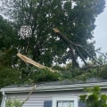 Can landscapers remove trees?
