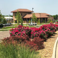 Enhance Your Lubbock, Texas Property Value With Strategic Landscaping Tree Planting Services