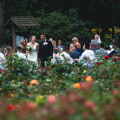 A Guide To Choosing The Perfect Flowers To Decorate Your Landscaping Trees For An Ontario Outdoor Wedding