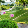 Perks Of Hiring A Professional Landscaper For Your Tree Care Needs In Damascus, OR