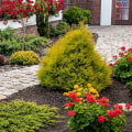 How much do local landscapers charge?