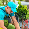 How can you avoid landscaping mistakes?