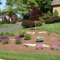 Why landscaping is a good job?