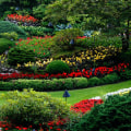 What would be considered landscaping?