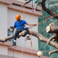 Unveiling The Green Canvas: The Importance Of Landscaping Trees In Bethany