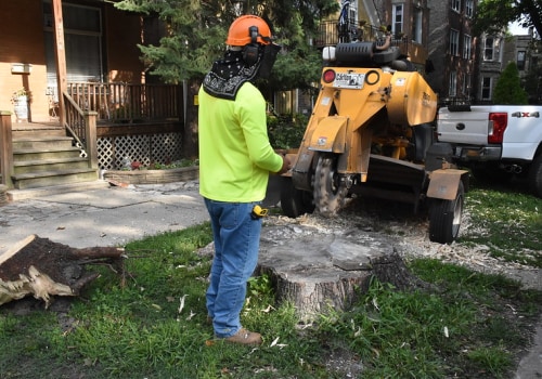 What Kind Of Trees Are Best Suited For Landscaping In Ellisville?