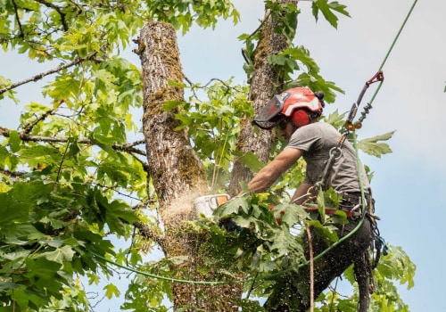 What is a tree trimmer called?