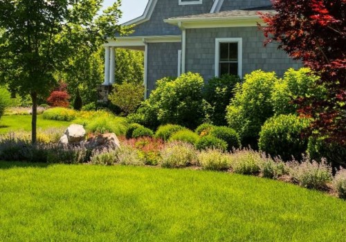 The Importance Of Tree Service In Leesburg, Virginia: Enhancing Your Landscape