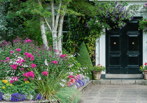 What is the best tree to plant near a house?