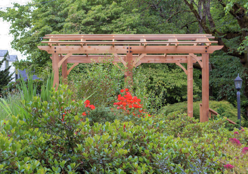 What Are The Best Types Of Landscaping Trees For Man Caves