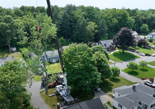 Nature's Architecture: Landscaping Trees And Crane Services In Groveland, MA