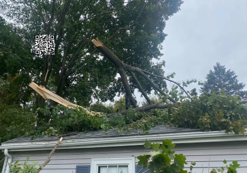 Can landscapers remove trees?