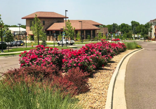 Enhance Your Lubbock, Texas Property Value With Strategic Landscaping Tree Planting Services