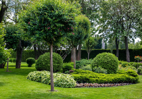 How Trees Contribute to Sustainable Landscaping