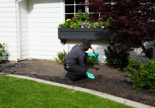 What Are The Importance Of Rodent Control Services For Landscaping Trees In Murfreesboro, TN