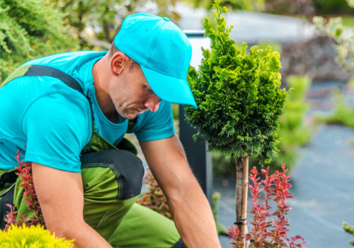 How can you avoid landscaping mistakes?