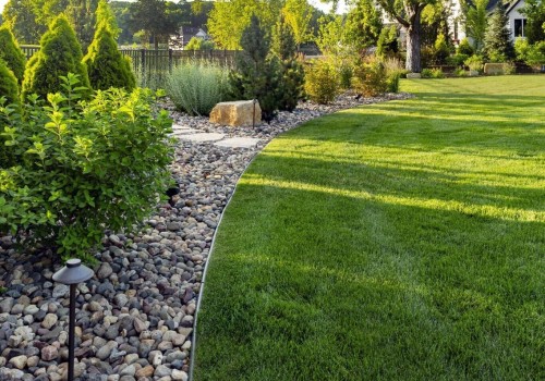 Keep Your Landscaping Trees Healthy Year-Round With A Winter Garden Irrigation Contractor